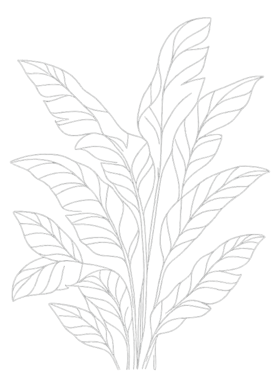 Осъзната промяна Преслав Василев